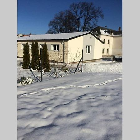 班纳维茨Elegantes Haus Im Dresdner Sueden别墅 外观 照片