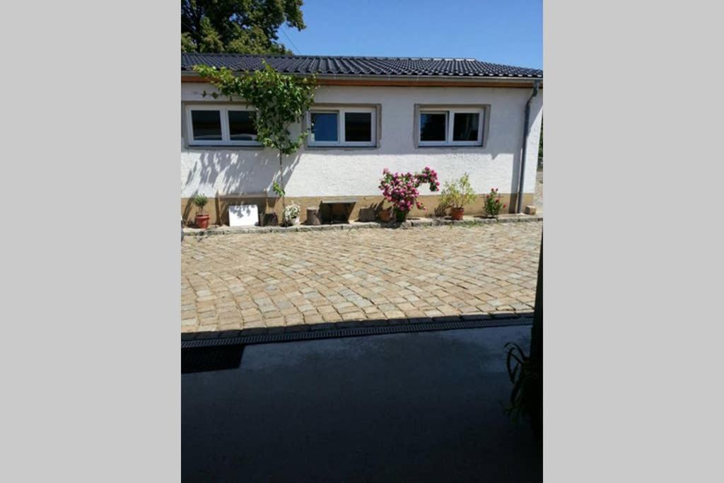 班纳维茨Elegantes Haus Im Dresdner Sueden别墅 外观 照片